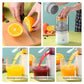 Denx - Automatic Fruit Juicer